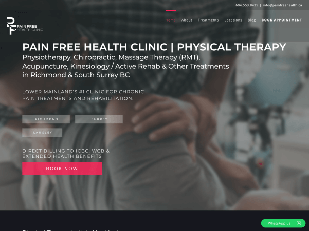 pain free health seo case study